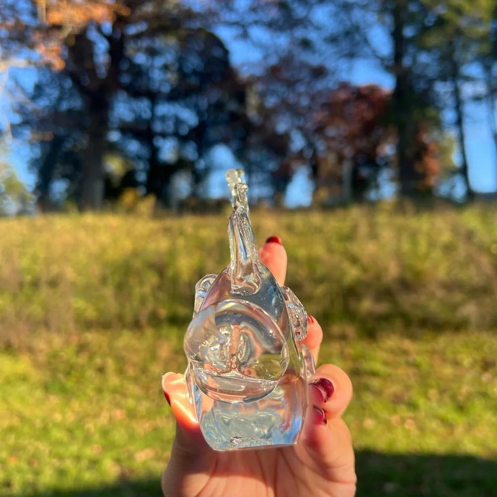 Hand Blown Glass Fish Paperweight Clear 4.5x4 Inches (lil Chip On Tummy)